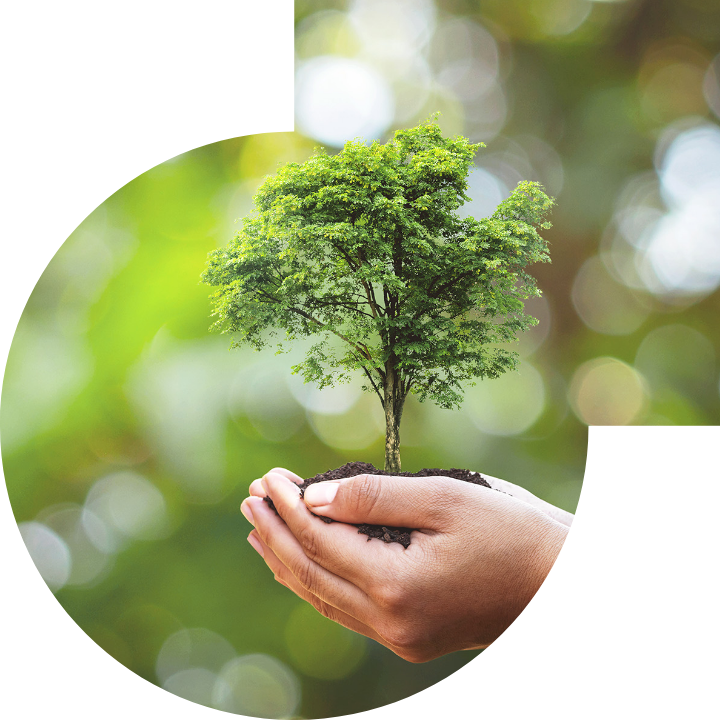 关怀人类、文化、环境与社会